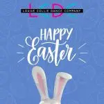 The team at  LCDC wish all our wonderful families a fabulous Easter. 

We can't wait for our new studio to hatch this Wednesday, 12th April. 

See you there !!

#lcdc #danceclass #lcdcdanceandfitness #musselburgh #dancestudio #dancestudioscotland #scotlanddancestudio #dancelife #dancersofinstagram #dancersofscotland #allmechoreo #scottishtalent #scottishdancers #dancevideo #danceschoolscotland #danceschoolforchildren #childrensdance #childrensdanceclasses #eastlothianparents #eastlothianparents
